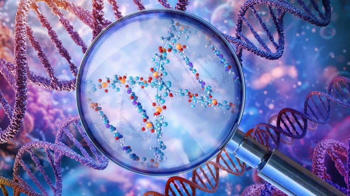分子生物学琼脂糖凝胶