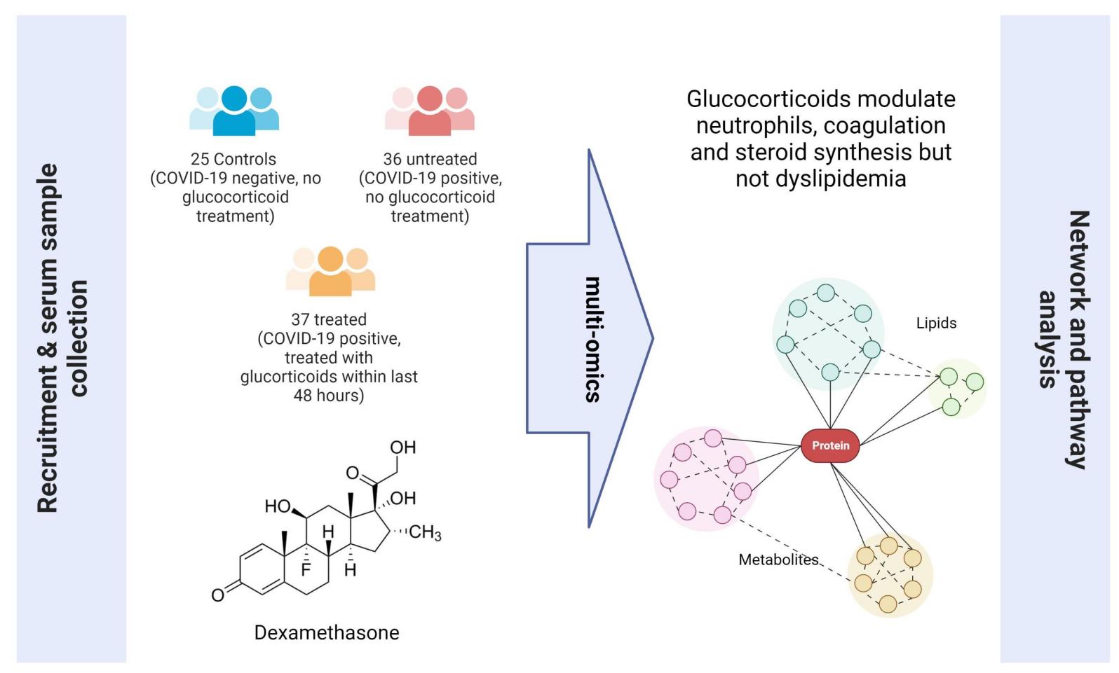 实验室高性能超声仪