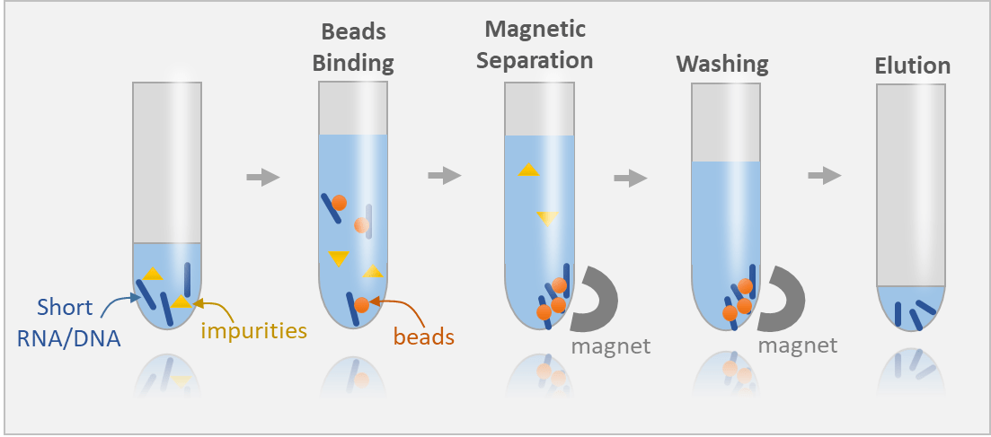 用于RNA隔离的磁性架