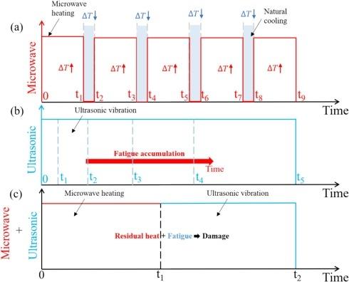 聚焦超声细胞干扰器